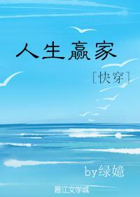 人生赢家什么意思