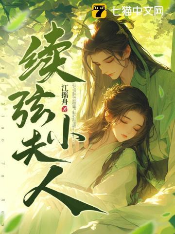 续弦小夫人改编的短剧