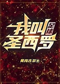足球我叫圣西罗 番外