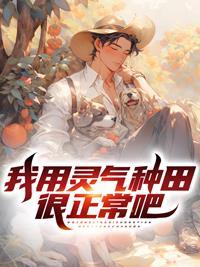 我的灵气种田空间