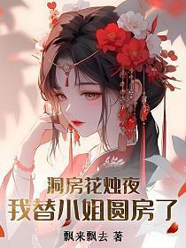 我替小姐圆房了的