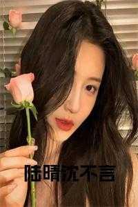 男主叫陆清言女主叫沈云繁