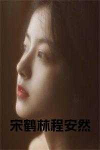 宋承然林安全文