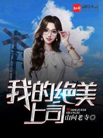 我的绝美上司老婆