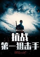 抗战第一狙击手 第371章