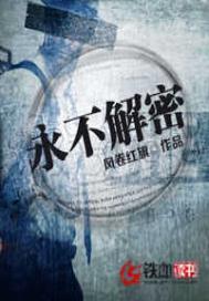 永不解密TXT完本