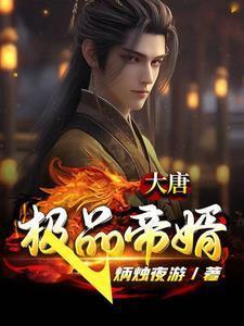 大唐极品帝婿听书