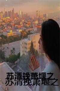 苏清绾全文免费