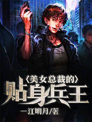 美女总裁的贴身兵王沈牧