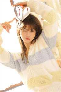 一种像乌龟的动物