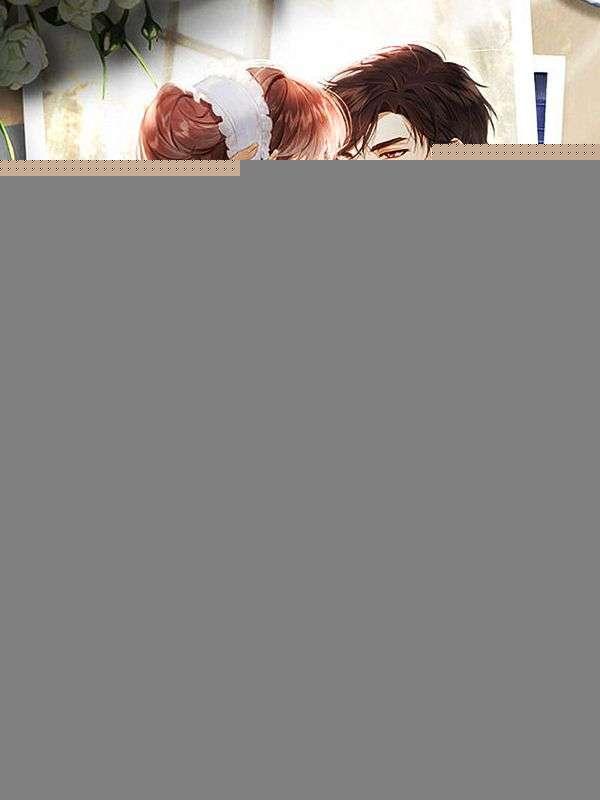 冷面总裁缠爱小佣女