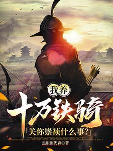 我养十万铁骑