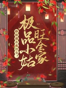 极品姑爷好看吗