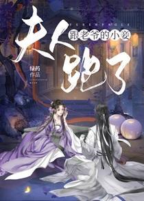 夫人跟老爷的小妾跑了全文免费阅读