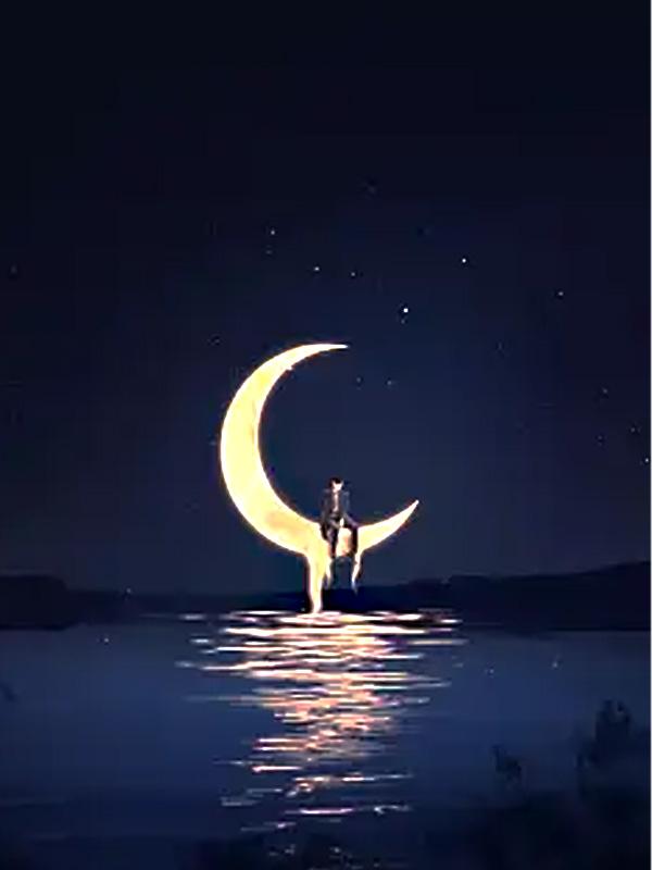 我的一生只有一个盛大的夏天