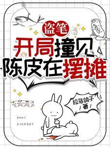 盗笔从老九门开始的黑心莲TXT