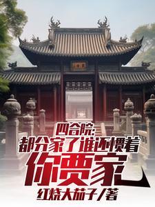四合院都分家了谁还惯着你贾家(1-180)