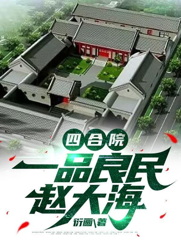 四合院一品良民赵大海列表作者衍画