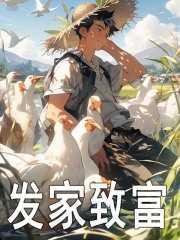 发家致富奔小康txt