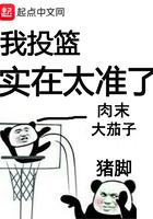我投篮实在是太准了无弹窗全文