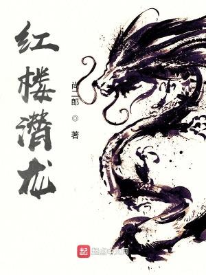 红楼潜龙无弹窗 笔趣阁全本