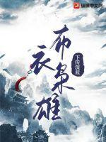 布衣枭雄第一季