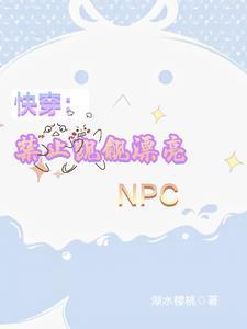 快穿禁止觊觎漂亮npc全文