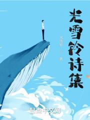 雪的诗集