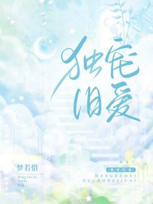 独宠旧爱段先生的追妻十八式