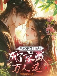 成了京城万人迷免费阅读