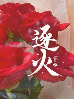 逐火十三英桀全员图片