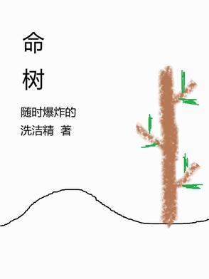 杨紫胡歌生命树